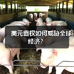 美元霸权如何威胁全球经济？