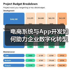 电商系统与App开发如何助力企业数字化转型？（图3）