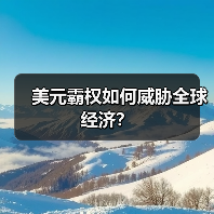 美元霸权如何威胁全球经济？（图2）