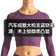 汽车成最大枪支盗窃来源:未上锁隐患凸显(图3) 汽车成最大枪支盗窃来源:未上锁隐患凸显(图3)