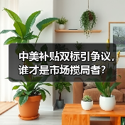 中美补贴双标引争议，谁才是市场搅局者？