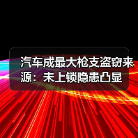 汽车成最大枪支盗窃来源:未上锁隐患凸显(图4) 汽车成最大枪支盗窃来源:未上锁隐患凸显(图4)