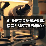 中俄元首会晤释放哪些信号？建交75周年的关键信号（图4）