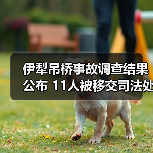 伊犁吊桥事故调查结果公布 11人被移交司法处理？