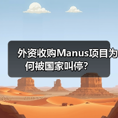 外资收购Manus项目为何被国家叫停？（图3）