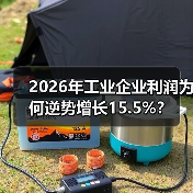 2026年工业企业利润为何逆势增长15.5%?(图4) 2026年工业企业利润为何逆势增长15.5%?(图4)