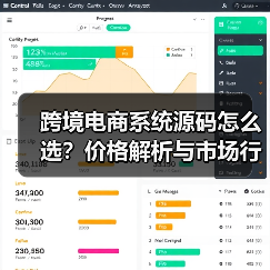 跨境电商系统源码怎么选?价格解析与市场行情全攻略(图2) 跨境电商系统源码怎么选?价格解析与市场行情全攻略(图2)