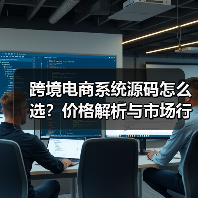 跨境电商系统源码怎么选?价格解析与市场行情全攻略(图4) 跨境电商系统源码怎么选?价格解析与市场行情全攻略(图4)