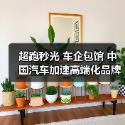 超跑秒光 车企包馆 中国汽车加速高端化品牌化（图3）