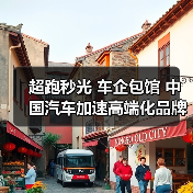 超跑秒光 车企包馆 中国汽车加速高端化品牌化（图4）