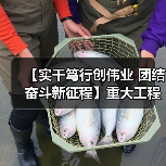 【实干笃行创伟业 团结奋斗新征程】重大工程扎实推进 夯实经济发展根基（图4）