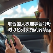 联合国人权理事会呼吁对以色列实施武器禁运（图2）