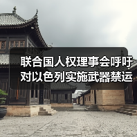 联合国人权理事会呼吁对以色列实施武器禁运（图4）