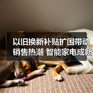 以旧换新补贴扩围带动销售热潮 智能家电成新增长点