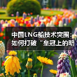中国LNG船技术突围：如何打破“皇冠上的明珠”垄断？（图4）