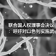 联合国人权理事会决议：呼吁对以色列实施武器禁运