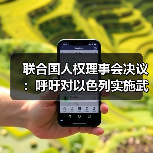 联合国人权理事会决议：呼吁对以色列实施武器禁运（图3）