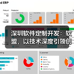 深圳软件定制开发：软盟，以技术深度引领创新未来