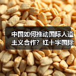 中国如何推动国际人道主义合作?红十字国际委员会副主席谈未来方向(图1) 中国如何推动国际人道主义合作?红十字国际委员会副主席谈未来方向(图1)