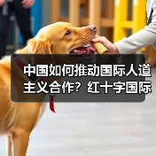 中国如何推动国际人道主义合作?红十字国际委员会副主席谈未来方向(图3) 中国如何推动国际人道主义合作?红十字国际委员会副主席谈未来方向(图3)