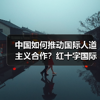 中国如何推动国际人道主义合作?红十字国际委员会副主席谈未来方向(图4) 中国如何推动国际人道主义合作?红十字国际委员会副主席谈未来方向(图4)