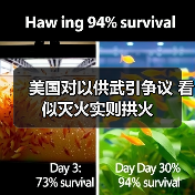 美国对以供武引争议 看似灭火实则拱火(图3) 美国对以供武引争议 看似灭火实则拱火(图3)