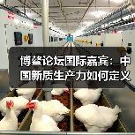 博鳌论坛国际嘉宾：中国新质生产力如何定义全球未来？（图2）