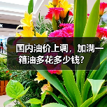 国内油价上调，加满一箱油多花多少钱？（图3）