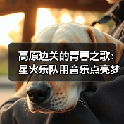 高原边关的青春之歌:星火乐队用音乐点亮梦想(图2) 高原边关的青春之歌:星火乐队用音乐点亮梦想(图2)
