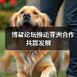 博鳌论坛推动亚洲合作共赢发展(图2) 博鳌论坛推动亚洲合作共赢发展(图2)