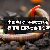 中国高水平开放释放积极信号 国际社会信心满满(图3) 中国高水平开放释放积极信号 国际社会信心满满(图3)