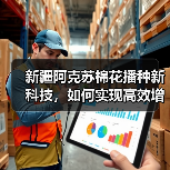 新疆阿克苏棉花播种新科技,如何实现高效增收?(图2) 新疆阿克苏棉花播种新科技,如何实现高效增收?(图2)