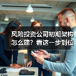 风险投资公司初期架构怎么建?看这一步到位方案(图4) 风险投资公司初期架构怎么建?看这一步到位方案(图4)