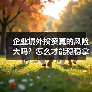 企业境外投资真的风险大吗?怎么才能稳稳拿下(图4) 企业境外投资真的风险大吗?怎么才能稳稳拿下(图4)