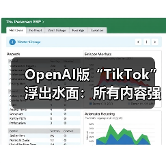 OpenAI版“TikTok”浮出水面：所有内容强制AI生