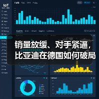 销量放缓、对手紧逼,比亚迪在德国如何破局(图3) 销量放缓、对手紧逼,比亚迪在德国如何破局(图3)