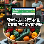 销量放缓、对手紧逼,比亚迪在德国如何破局(图2) 销量放缓、对手紧逼,比亚迪在德国如何破局(图2)