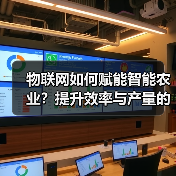 物联网如何赋能智能农业?提升效率与产量的关键(图4) 物联网如何赋能智能农业?提升效率与产量的关键(图4)