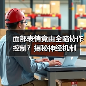 面部表情竟由全脑协作控制？揭秘神经机制