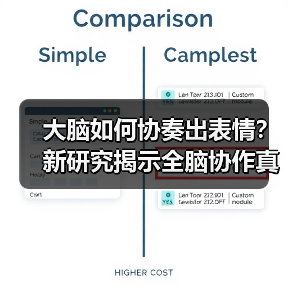大脑如何协奏出表情?新研究揭示全脑协作真相(图2) 大脑如何协奏出表情?新研究揭示全脑协作真相(图2)