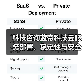 科技咨询蓝帝科技云服务部署、稳定性与安全配置注意事项（图1）