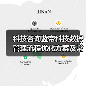 科技咨询蓝帝科技数据管理流程优化方案及常见问题解决(图2) 科技咨询蓝帝科技数据管理流程优化方案及常见问题解决(图2)