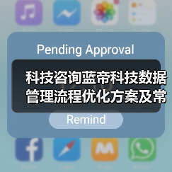 科技咨询蓝帝科技数据管理流程优化方案及常见问题解决(图3) 科技咨询蓝帝科技数据管理流程优化方案及常见问题解决(图3)