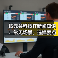 微元谷科技IT新闻知识：常见场景、选择要点与注意事项（图3）